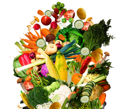 Nutrition - 