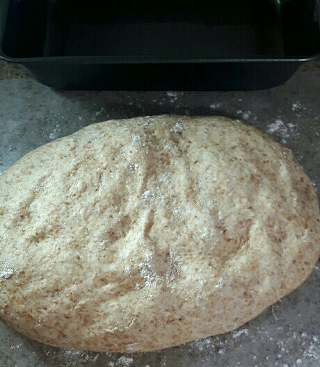 Bread Dough
