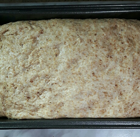 Bread Dough to Bread Pan