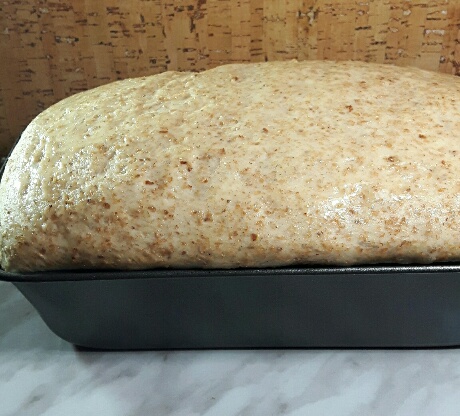 Bread Dough Before Baking