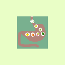 Food Digestion