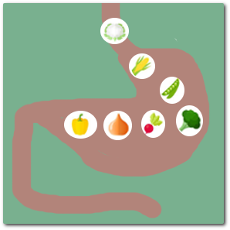 Food  Digestion and Transport