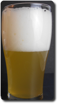 Taste Test, 5 Non Alcoholic Beers