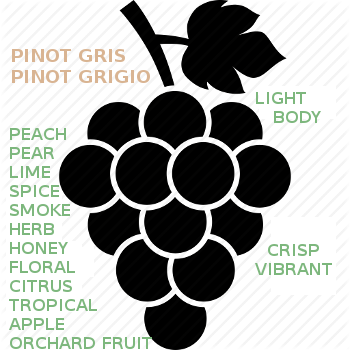 Learn About Pinot Grigio Wines, Tasting Notes, Popular Brands
